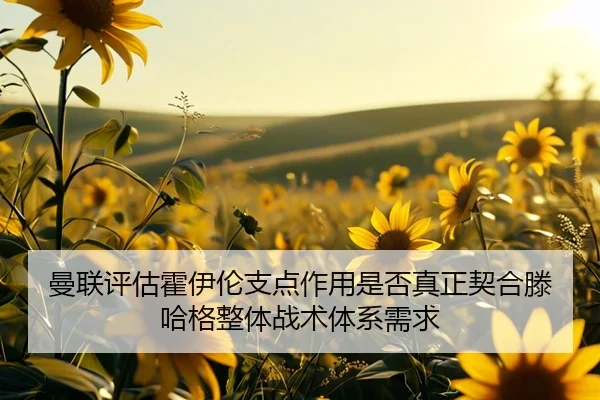 曼联评估霍伊伦支点作用是否真正契合滕哈格整体战术体系需求